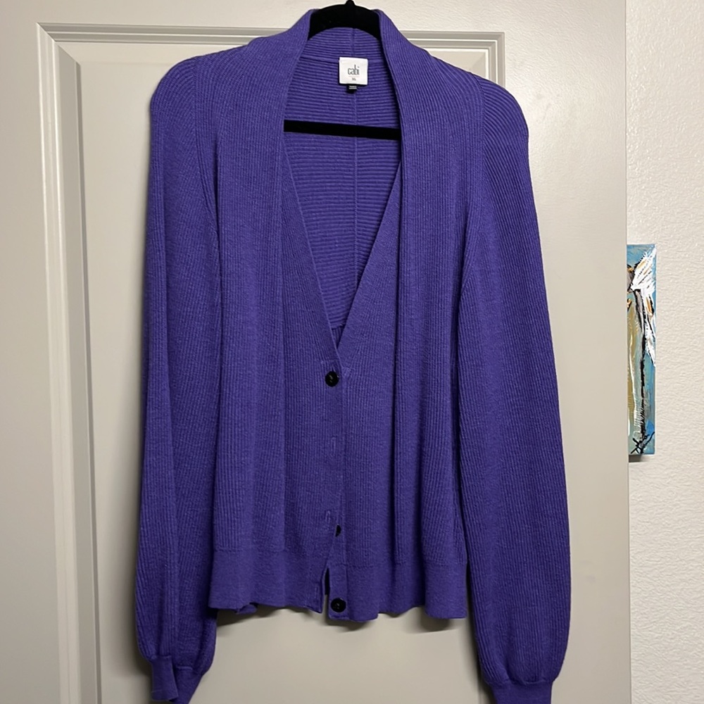 CABI purple sweater never worn. $30